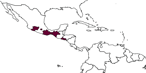 map of Crossocerus tsunekii     Leclercq & Miller, in Leclercq, 2000